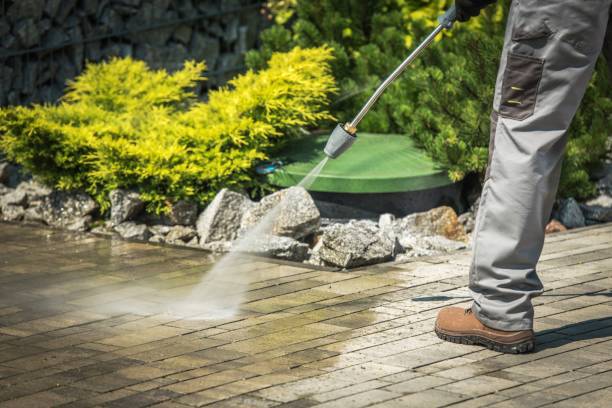 Best Playground Equipment Cleaning  in Locust Valley, NY