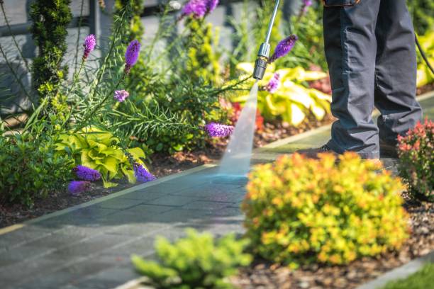 Best Parking Lot and Garage Cleaning  in Locust Valley, NY