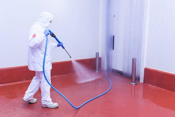 Best Dumpster Area Cleaning  in Locust Valley, NY